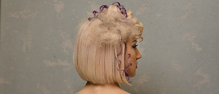 Ardi Borova Akademi kerkon modele